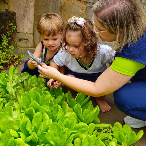 Por que investir na educação infantil é importante para o futuro dos seus filhos?