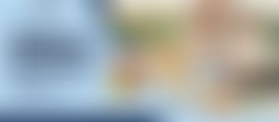 How Printed Zip Lock Bags Enhance Product Safety and Customer Satisfaction