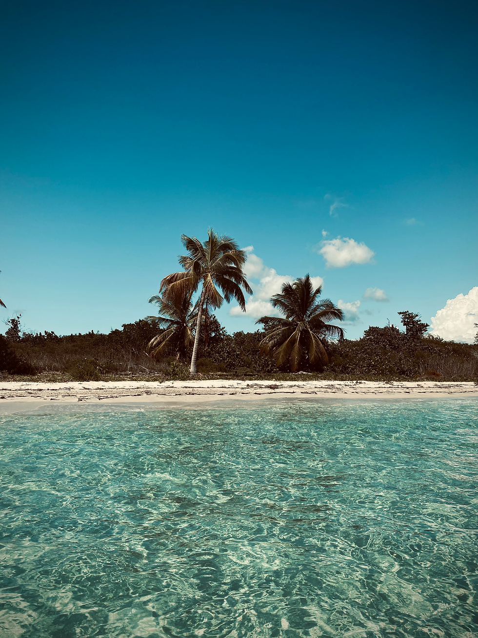 best beaches in vieques