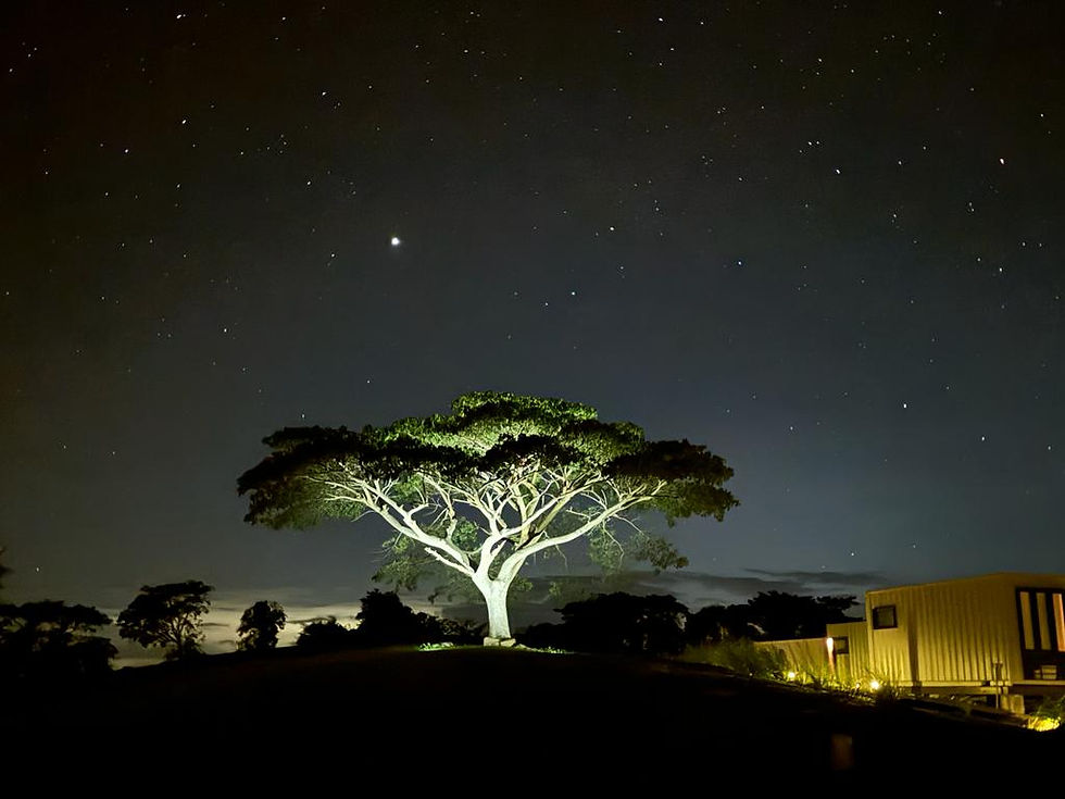 International Dark-Sky Association