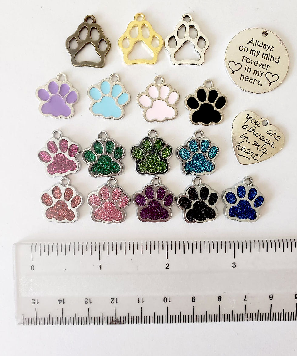 Thumbnail: Pawprint Keychain with embedded ashes or fur
