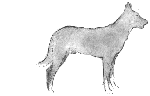1347182055.gif