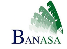logotipo_banasa.png