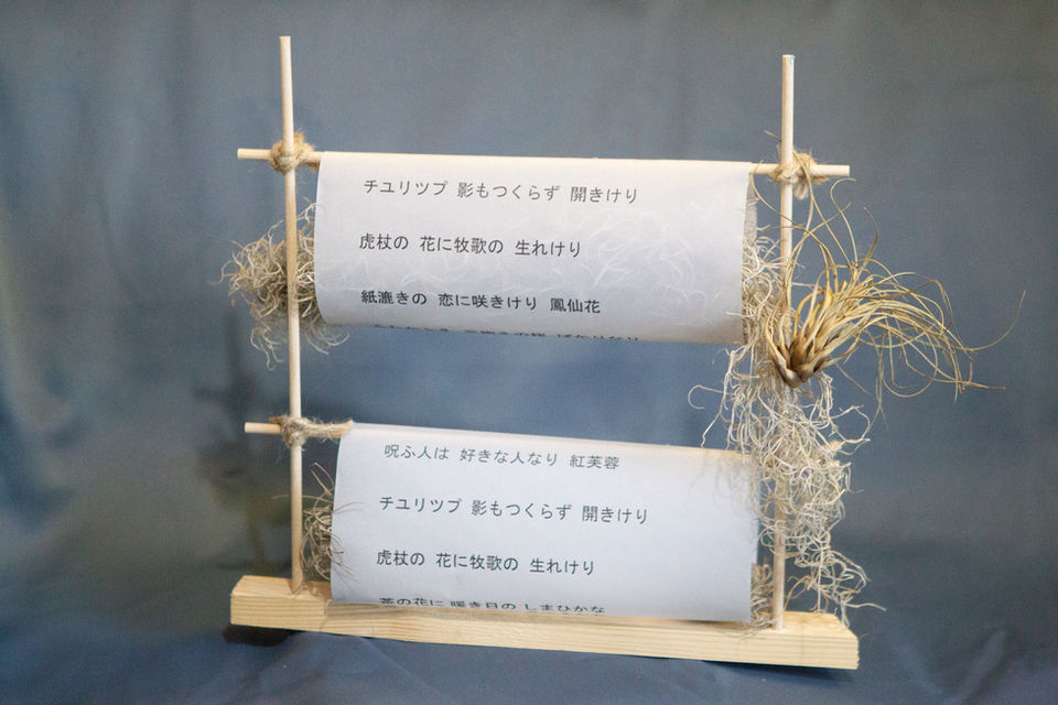 Rare Plants, 2020 — Installation book. Installation book using Japanese haiku, transparent paper, air plants, wood and thread.