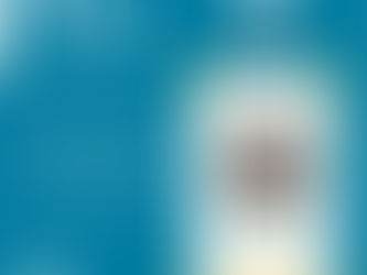 Vardaan Taneja - MIT Watson AI Lab and SURA