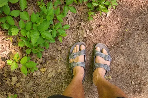 Man in sandals standing next to poison ivy