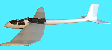 IMG_2614.png
