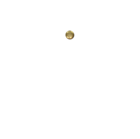 Untitled design-4 copy 10.png
