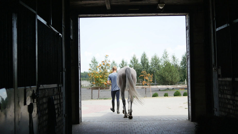 Capacitação de Colaboradores