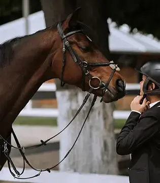 Cursos Presenciais Horse Guide