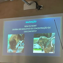 WhatsApp Image 2023-07-06 at 17.29.36.jpg