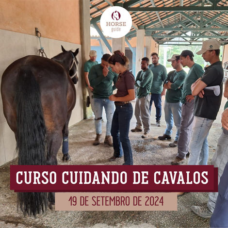 Confira o nosso Curso Cuidando de Cavalos
