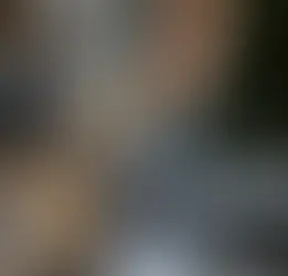 Como saber se o cavalo está bem casqueado e ferrado? Comece olhando a proporcionalidade e o alinhamento.