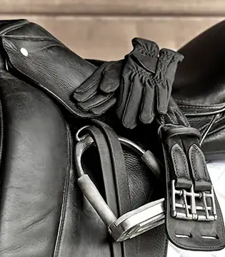 Encontre Materiais e Equipamentos para seu cavalo