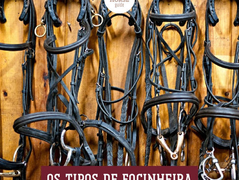 os tipos de focinheira