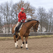Como virar seu cavalo sem puxar a rédea interna