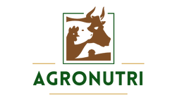 Logo referencias (6).png