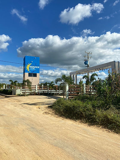 WhatsApp Image 2024-05-27 at 13.13.19.jpeg