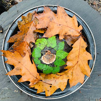 community nature art  to boost wellbeing and connect with nature with We Be Kids