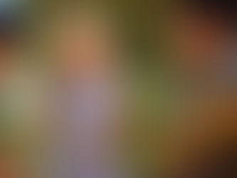 Inclusive by Nature: Designing Accessible Outdoor Lessons for Every Primary Learner