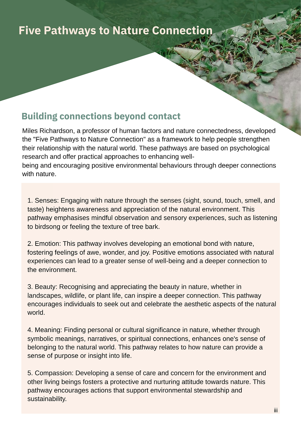 Thumbnail: The Nature Connected Curriculum