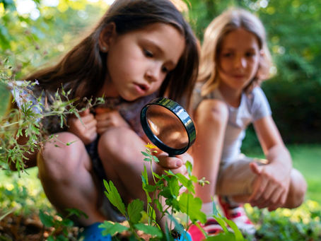 Spring into Nature: Low‑prep, high‑impact lesson ideas for busy primary classrooms
