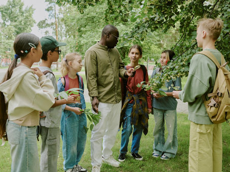 The Five Pathways to Nature Connection: A Practical Guide for Primary Classrooms