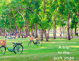A Trip to the park yoga.png
