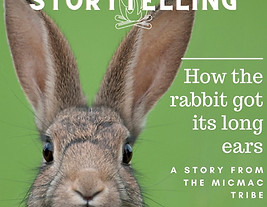 rabbit long ears 4.jpg