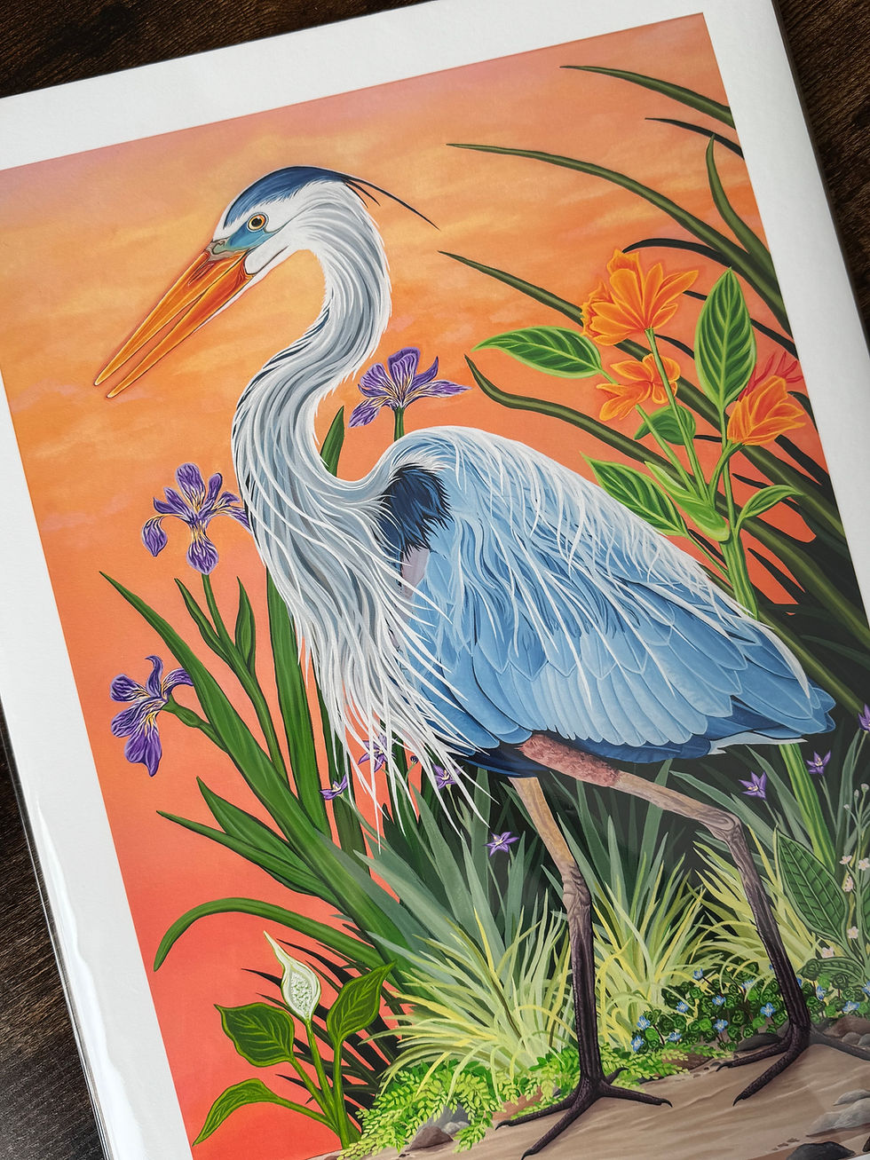 Madison Boening Art Great Blue Heron Print.