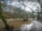 River Nidd in flood