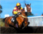 Richenda Ford Racing - Noah's Light_edited.jpg