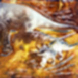 Dino