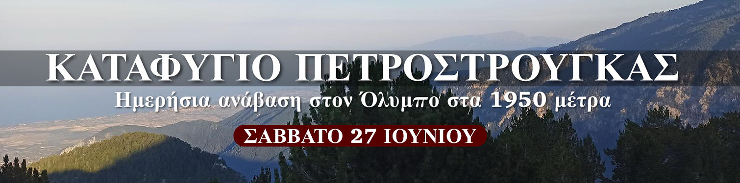 phonto.jpg