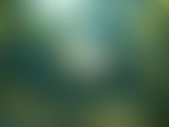 Where to Recycle Plastic Bags in New Jersey (Post-Rite Aid Closure)