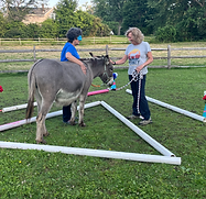 Donkey Assisted Learning