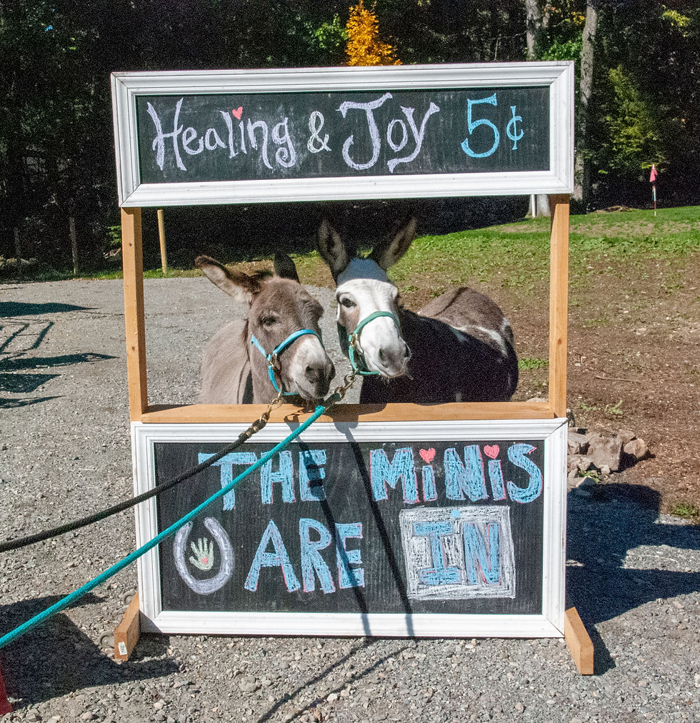 Bucko Flossy in the Healing Booth