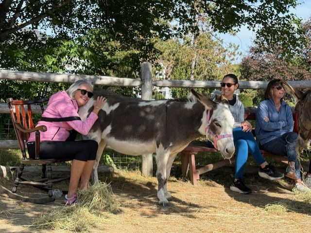 bwh hcps visit for landing page