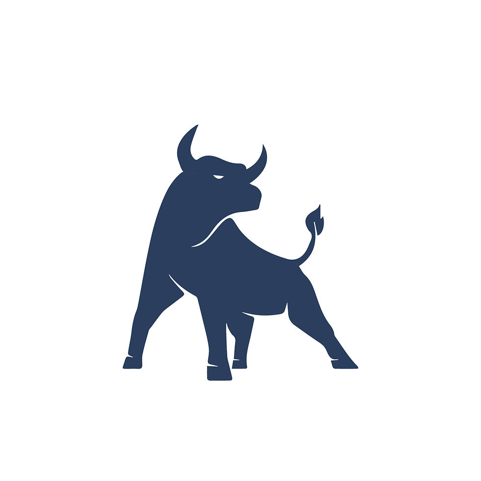 Our Name, Our Symbol, Our Purpose - Why the Bull Represents Our Personal Injury Law Firm