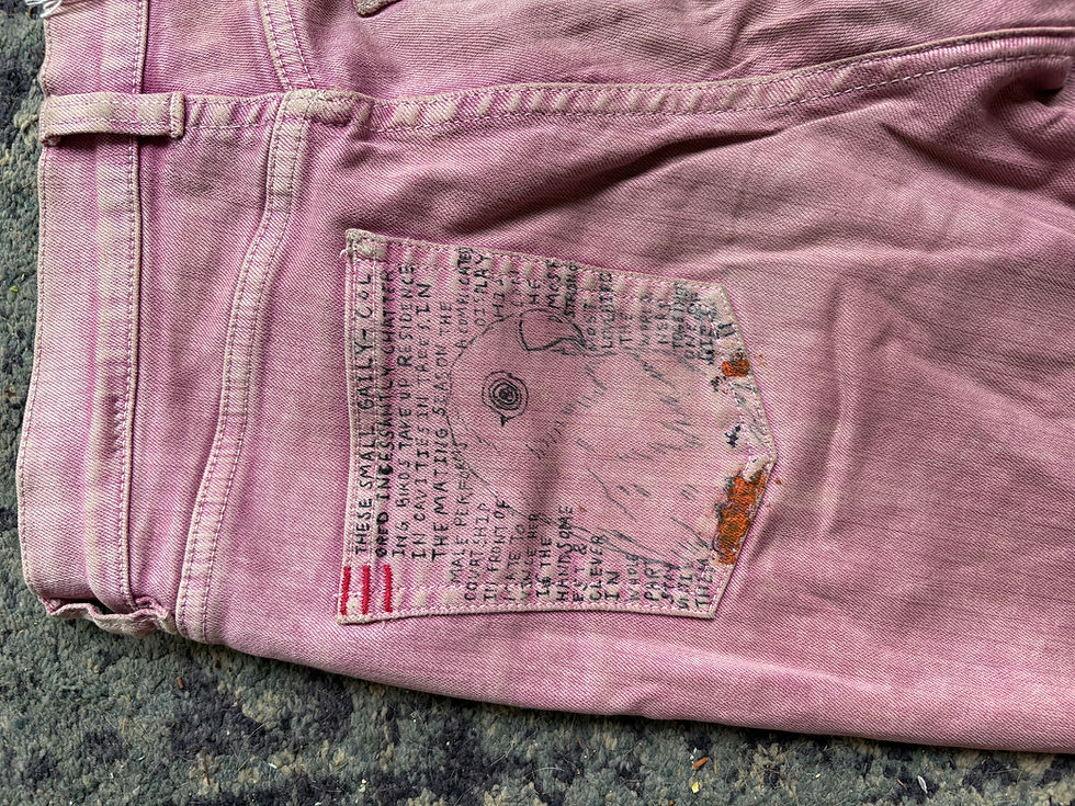 Thumbnail: Animal Jeans