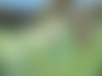 4 Biggest Technical Lessons from 2025