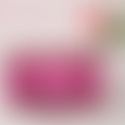 文鎮口金バッグ