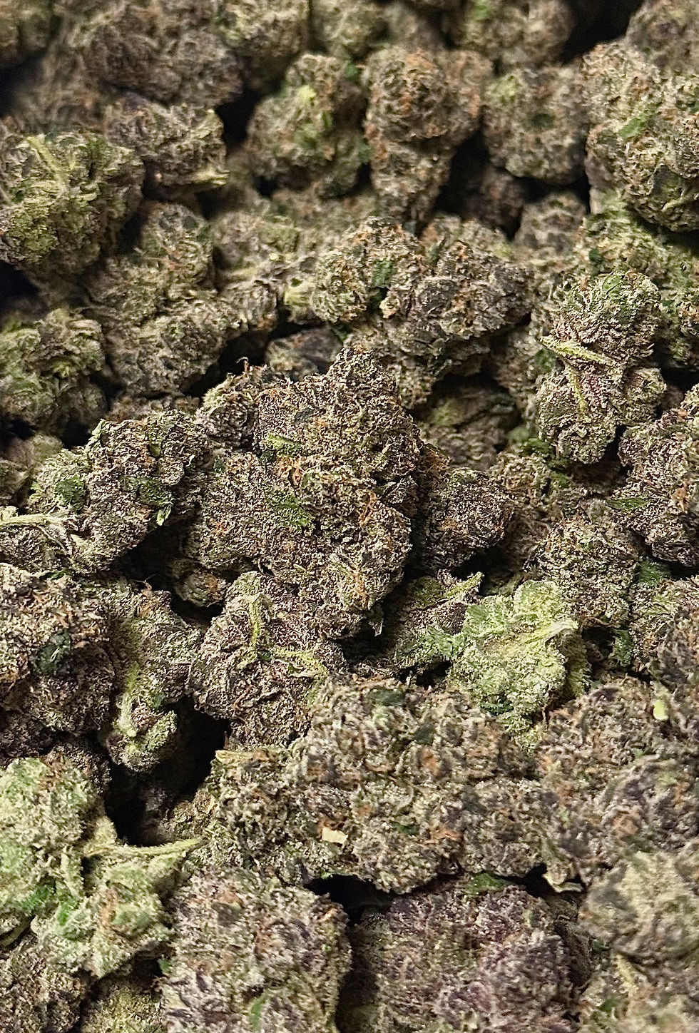 SHERBACIO