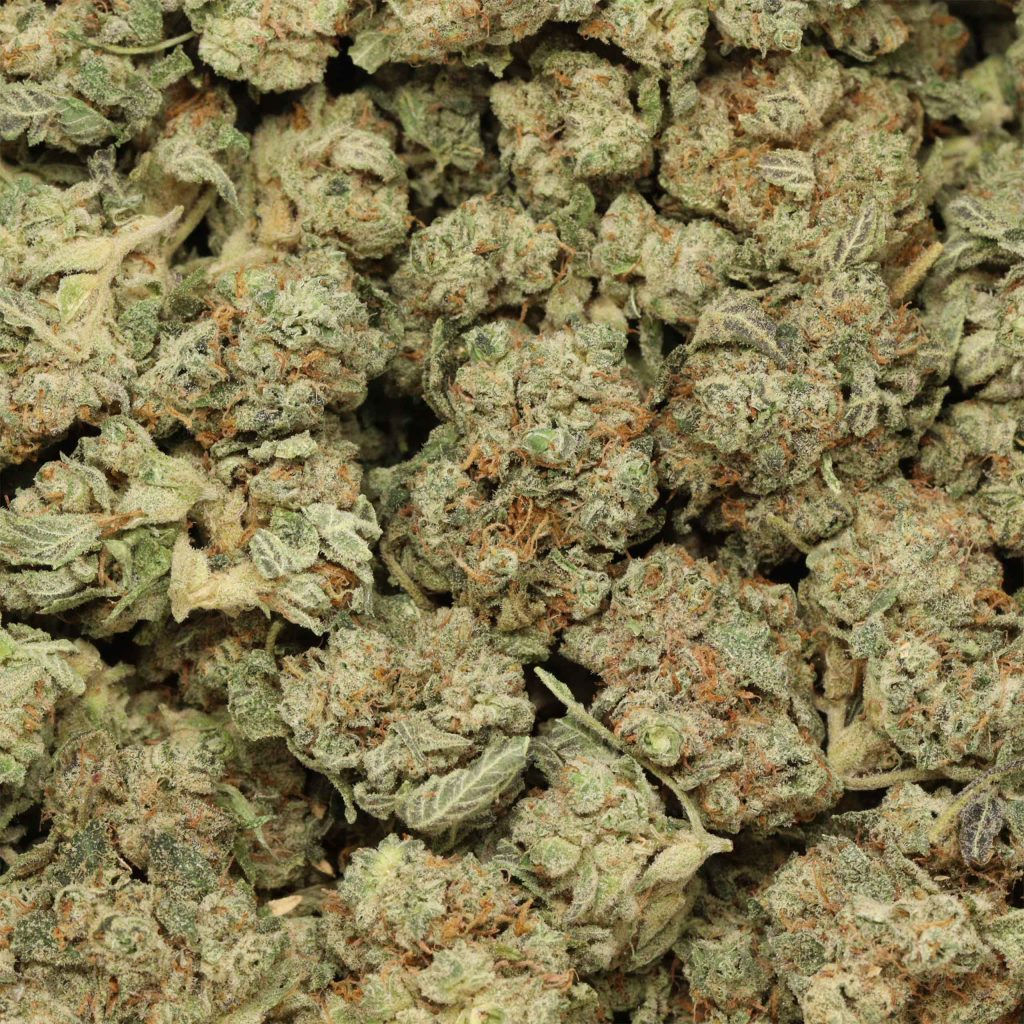 Cane Sugar #7 (SATIVA) 28%THC