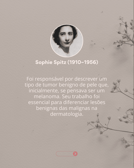 dia das mulheres 2025