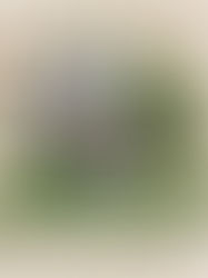 Вступна кампанія