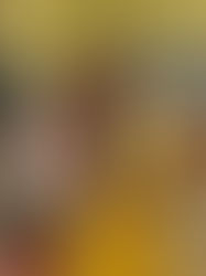 Навчально-польові збори