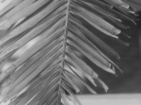 sɐuˈdad(ə) I SAUDADE