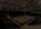 backboard_club_edited.jpg
