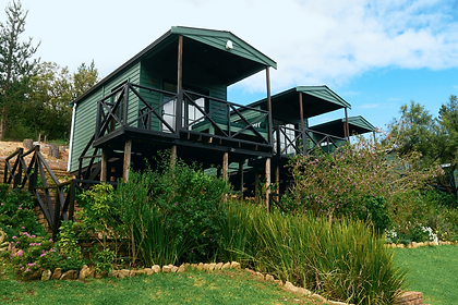 Untitled design (3).png